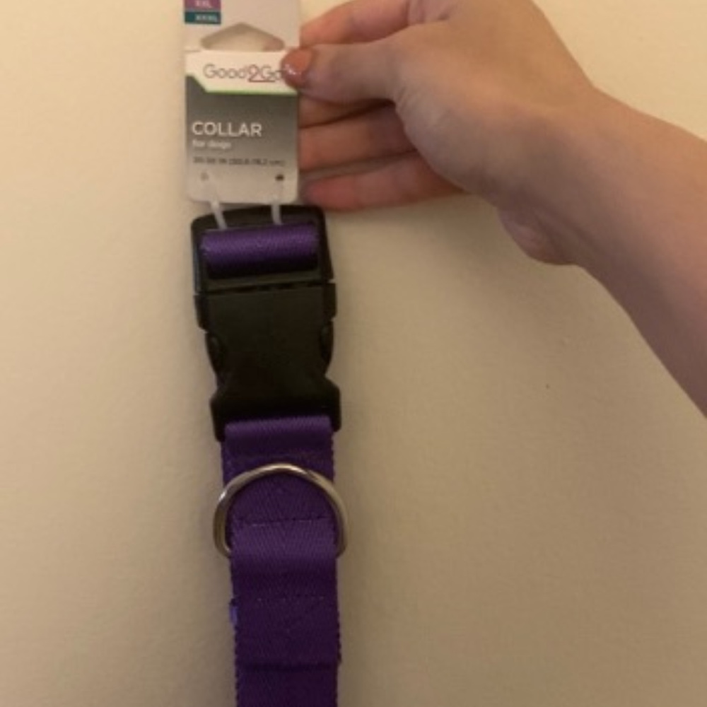 Dog collar